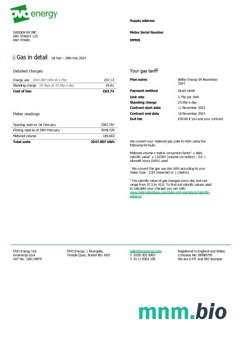 Wielka Brytania Ovo Energy rachunek za usługi komunalne, Word i PDF szablon